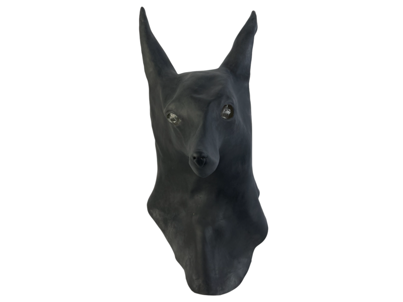 Anubis mask