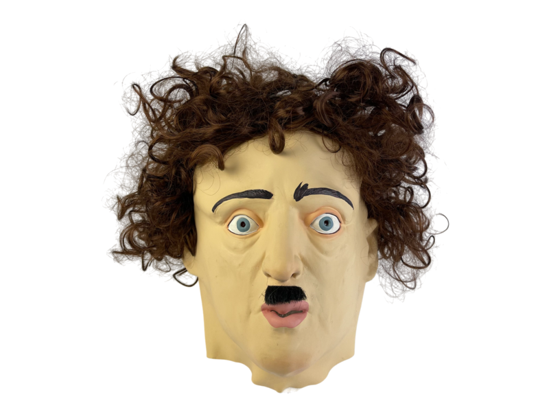 Man mask brown hair with mustache (Allan Poe / Ron Jeremy)