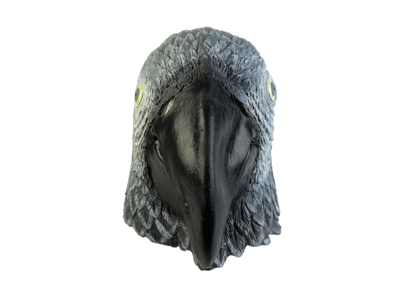 Parrot mask (bird) gray