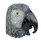 Parrot mask (bird) gray
