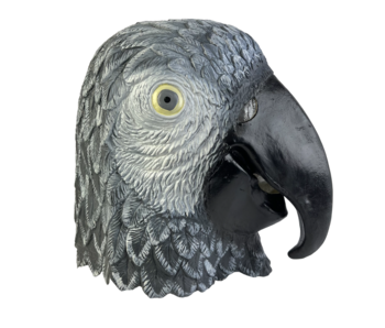 Masque perroquet (oiseau) gris