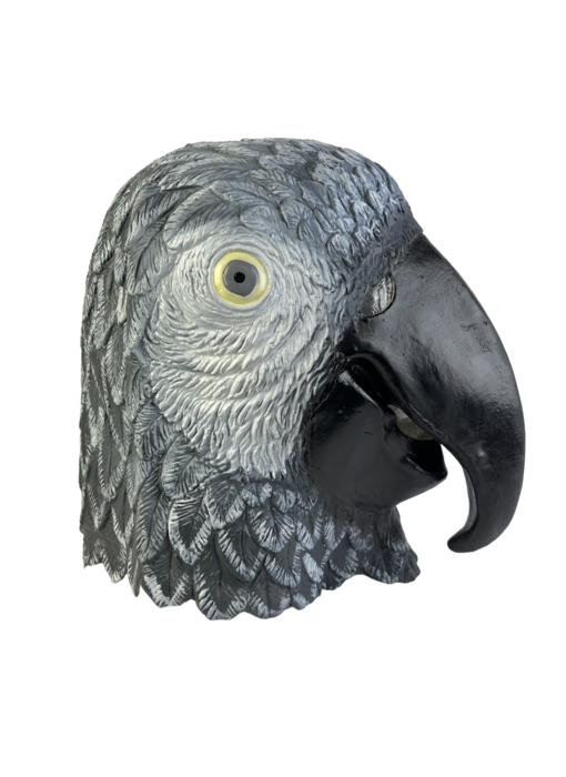 Parrot mask (bird) gray