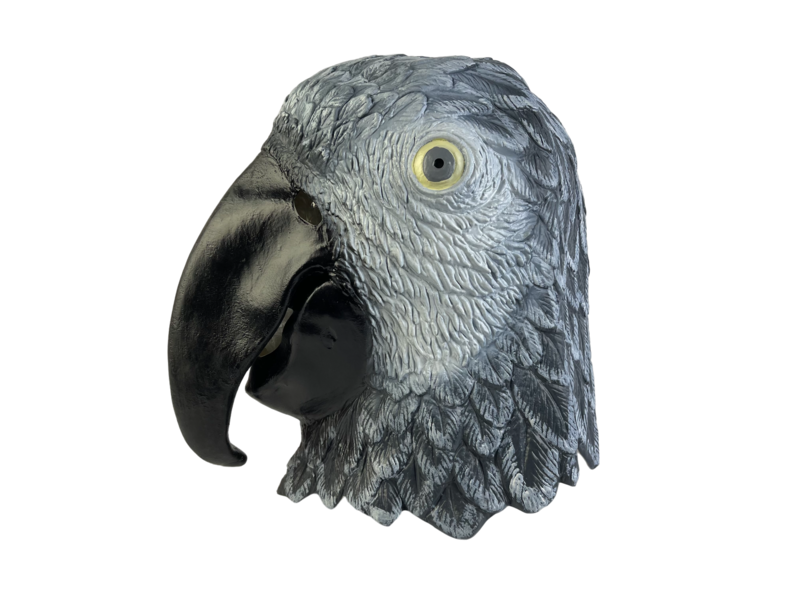 Maschera pappagallo (uccello) grigio