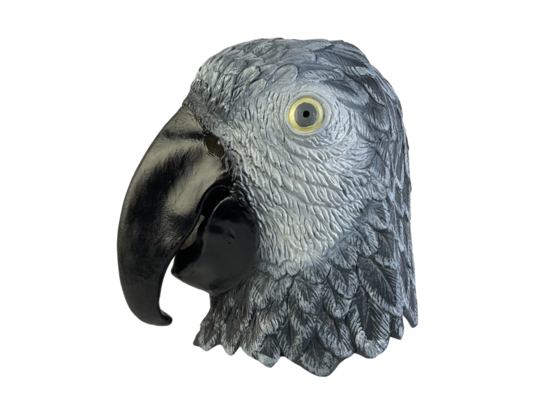 Parrot mask (bird) gray