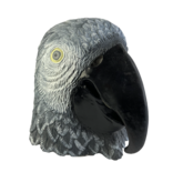 Masque perroquet (oiseau) gris