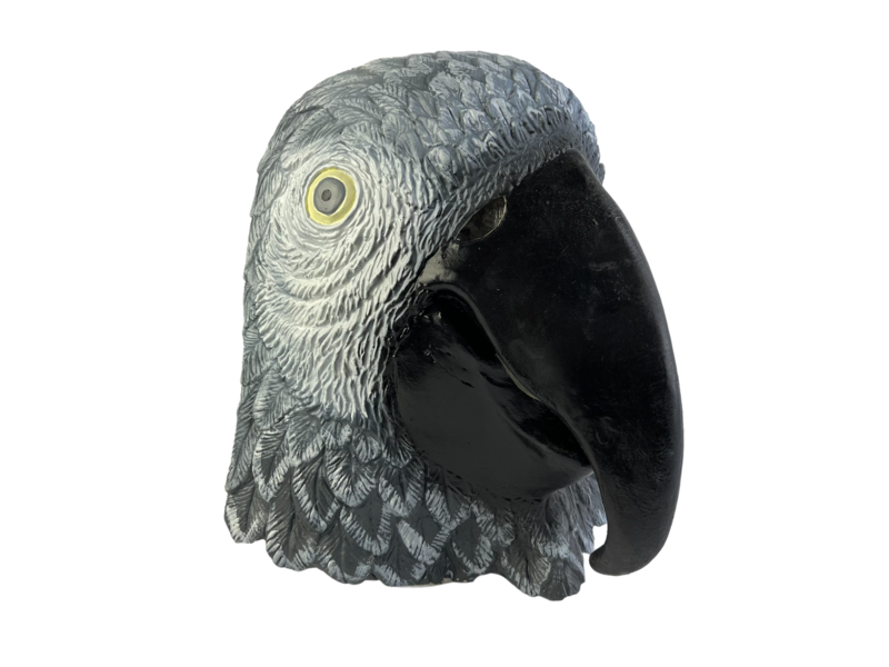 Masque perroquet (oiseau) gris