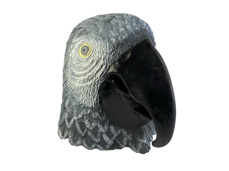 Parrot mask (bird) gray