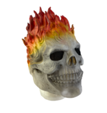 Ghost Rider mask