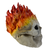 Ghost Rider mask