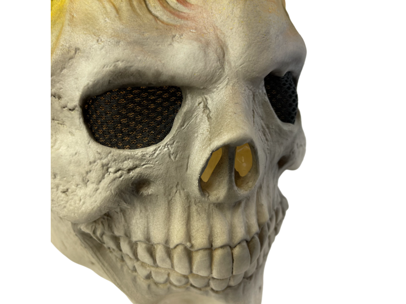 Ghost Rider mask