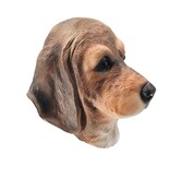 Hundemaske Beagle-Welpe