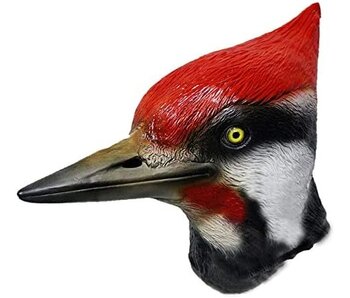 Maschera da uccello Picchio