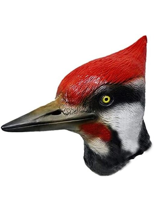 Maschera da uccello Picchio