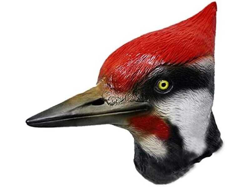 Bird mask Woodpecker