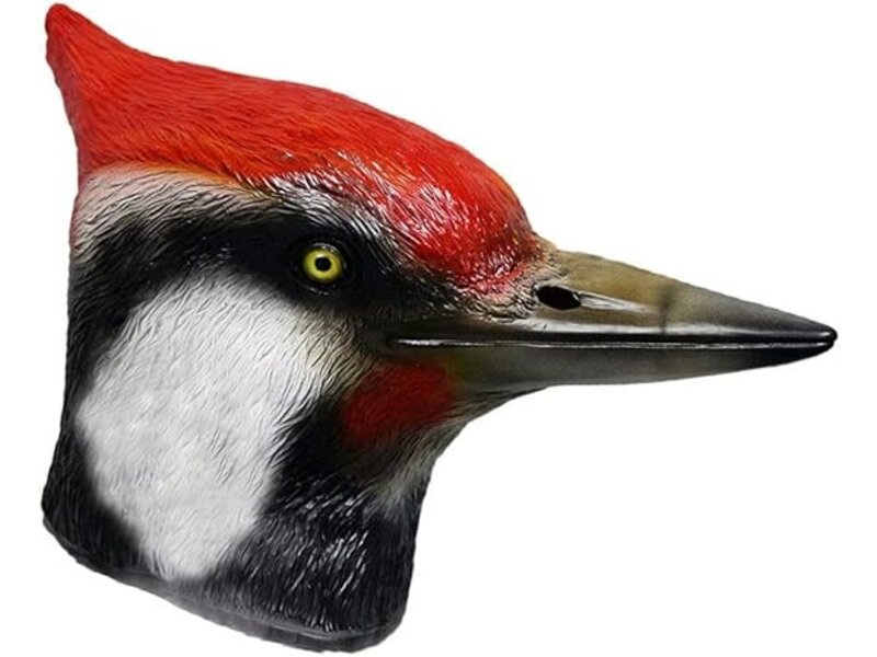 Bird mask Woodpecker