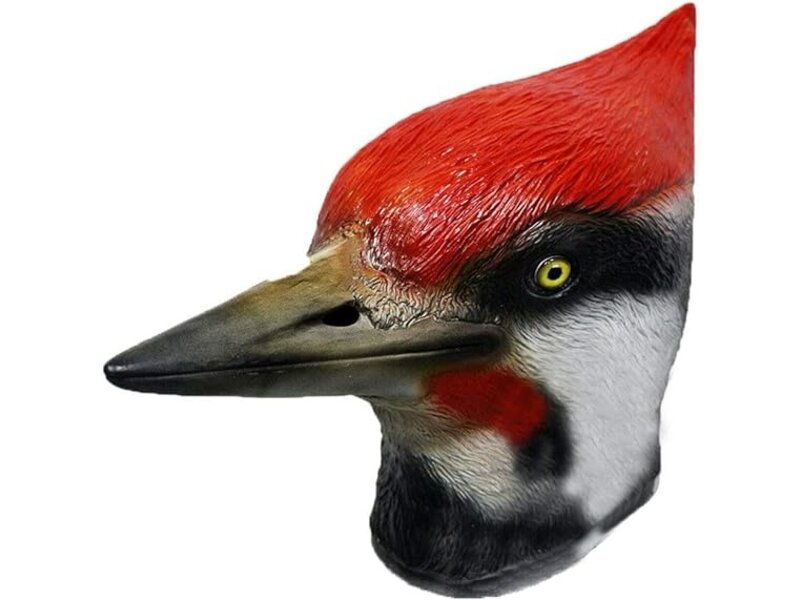 Bird mask Woodpecker