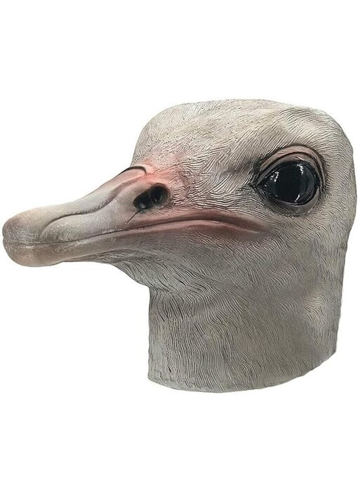 Ostrich mask