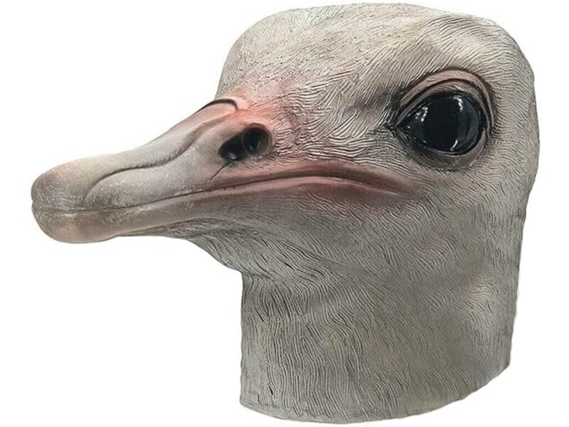 Ostrich mask