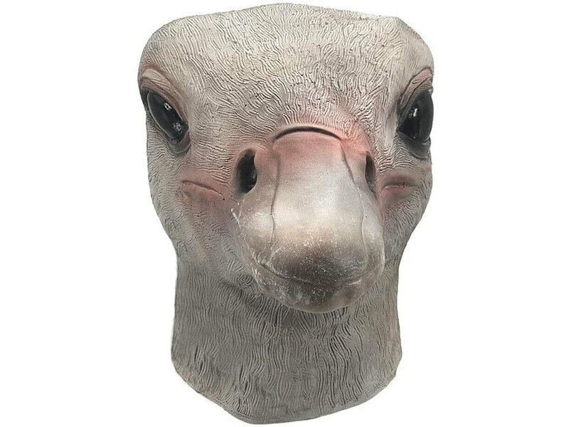 Struisvogel masker