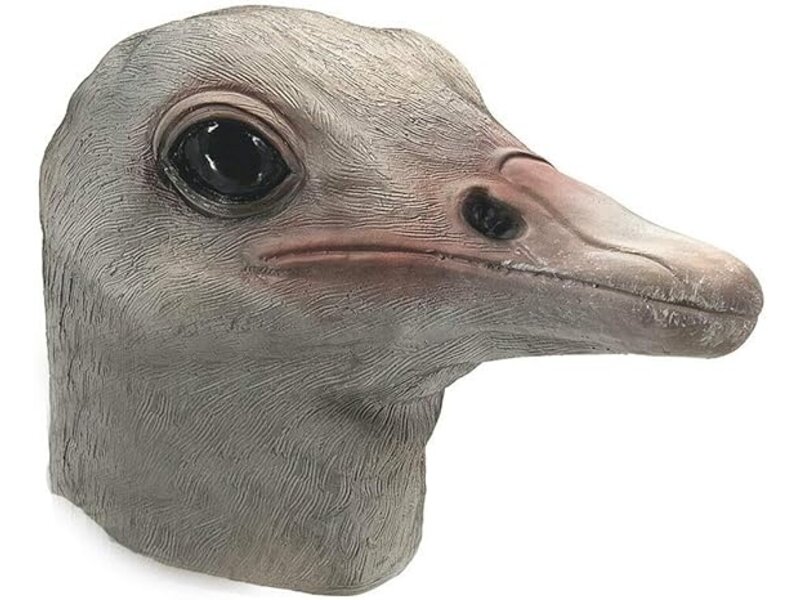 Ostrich mask