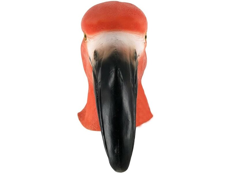 Flamingo mask (bird)