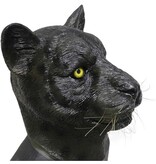 Panter masker (zwart)