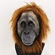 Orang-oetan masker (aap)