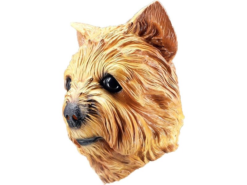 Dog mask Yorkshire Terrier