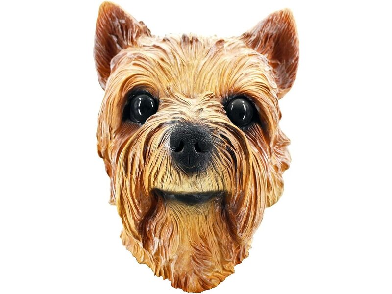 Dog mask Yorkshire Terrier