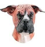 Dog mask Boxer Deluxe