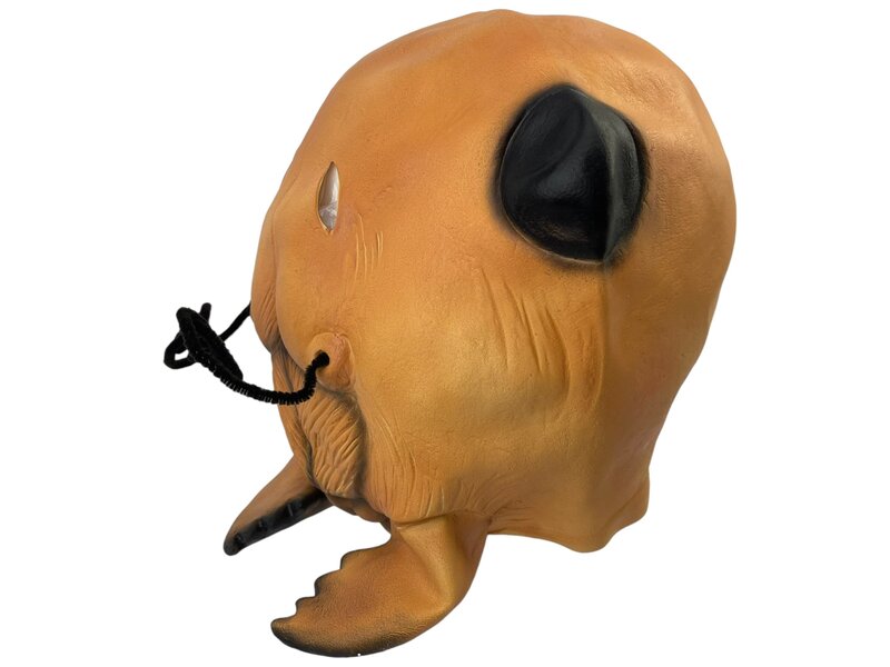Ant mask