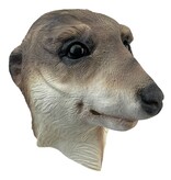Meerkat/meerkat mask