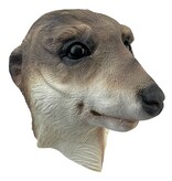 Meerkat/stokstaartje masker