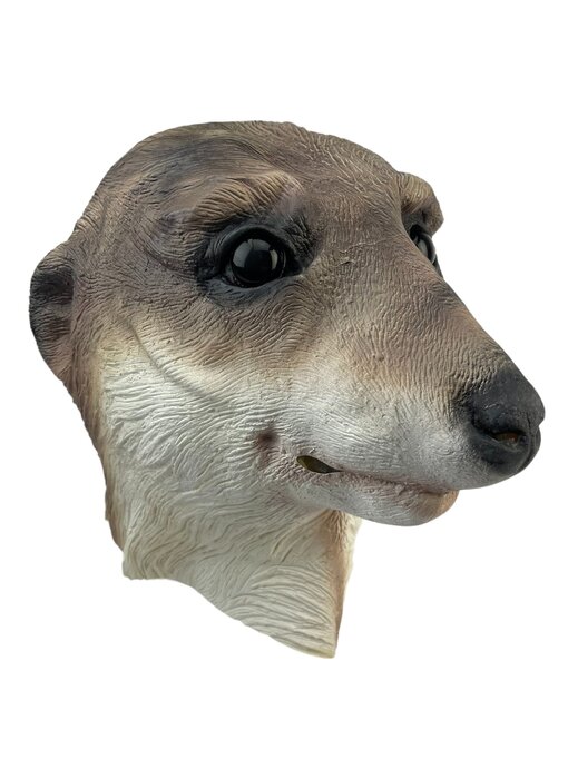 Meerkat/meerkat mask