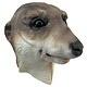Masque suricate/suricate