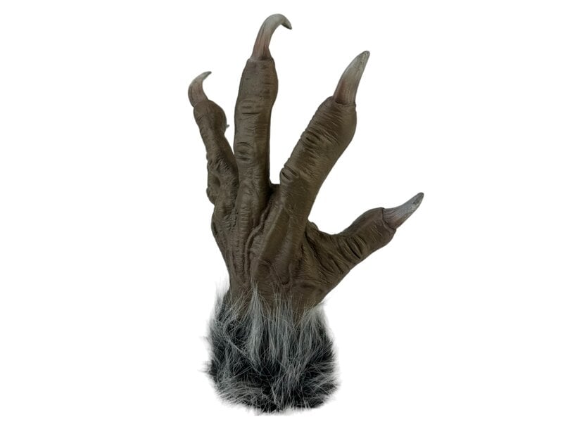 Bird claw glove