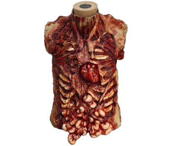 Gory skinned torso front Halloween Prop