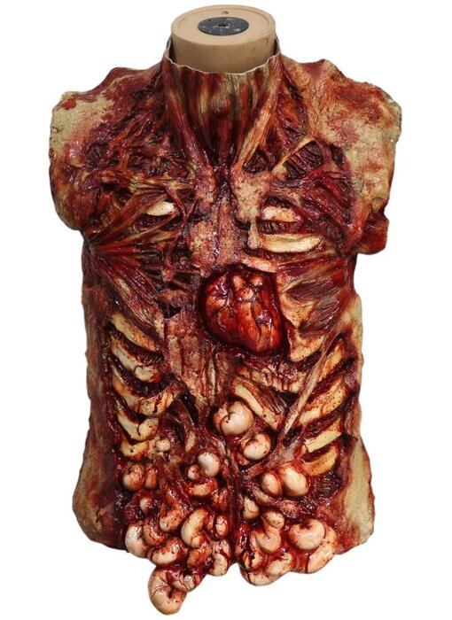 Orrore Zombie Prop torso sanguinante fatto a pezzi