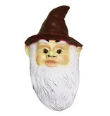 Gnome mask