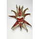 Jolly Joker masker (rood fluweel)