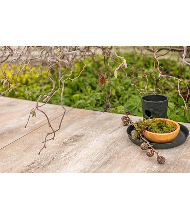 Geoceramica 80x40x4 cm Timber Tortera