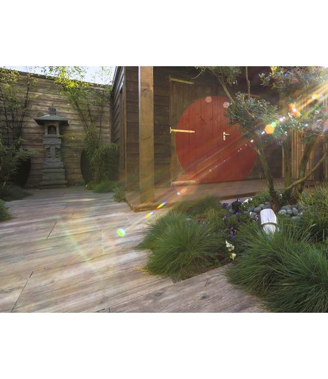 Geoceramica 30x60x4 cm Timber Noce