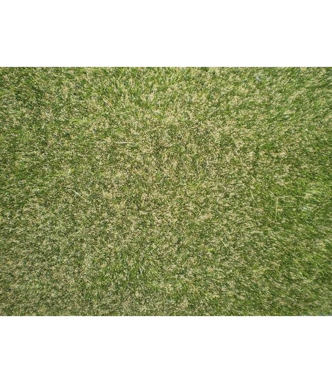 Kunstgras Super 22/ De Luxe