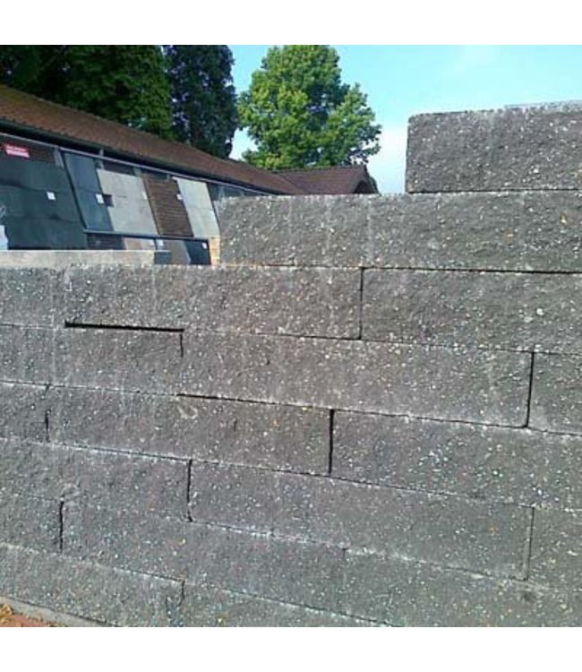 Brickwall Geknipt Zwart 30x10x6 cm