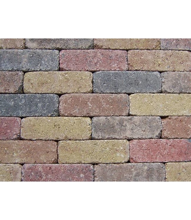 Dikformaat Bont Getrommeld 20X6,5x6,5 cm