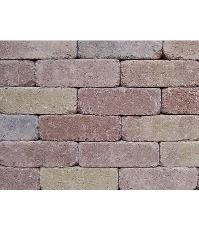 Dikformaat Brons Getrommeld 20X6,5x6,5 cm