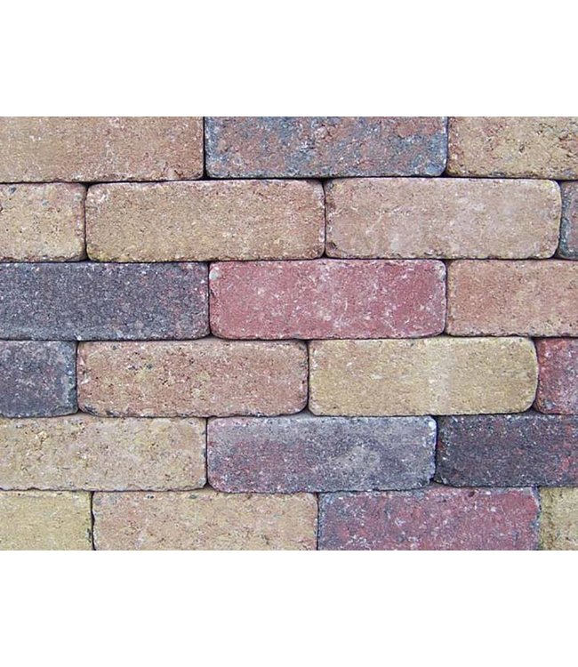 Rijnformaat Bont Genuanceerd Getrommeld 15x5x7,5 cm