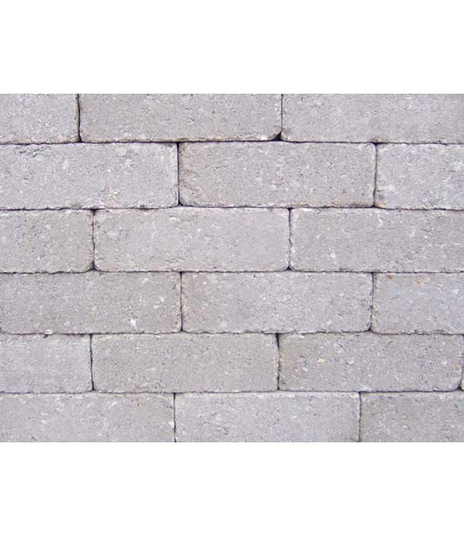 Rijnformaat Grijs Getrommeld 15x5x7,5 cm