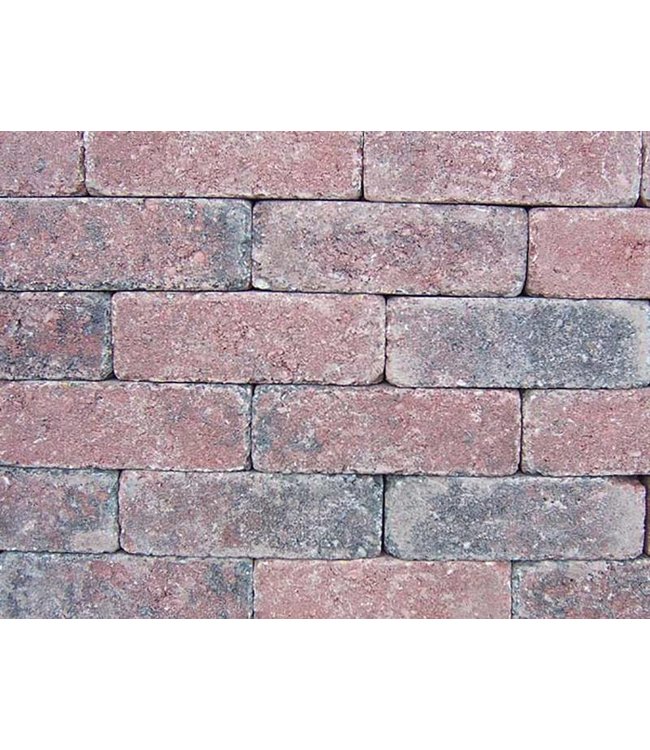 Rijnformaat Rood Zwart Getrommeld 15x5x7,5 cm