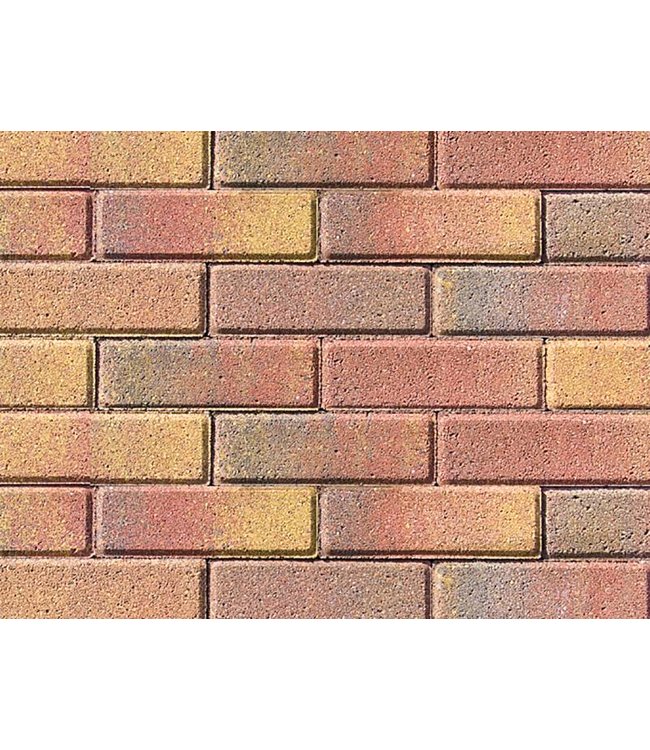 Tremico Dikformaat Bont 20x6,7x6 cm